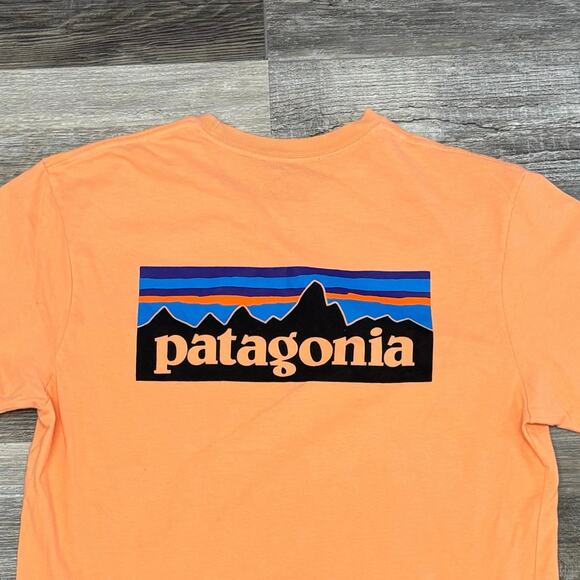 Patagonia Peach Mens M Regular Fit Crewneck Spell Out Logo Graphic Pocket Tee - Picture 1 of 9
